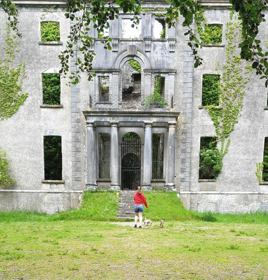 Reed Warbler Cottage بالينروب المظهر الخارجي الصورة
